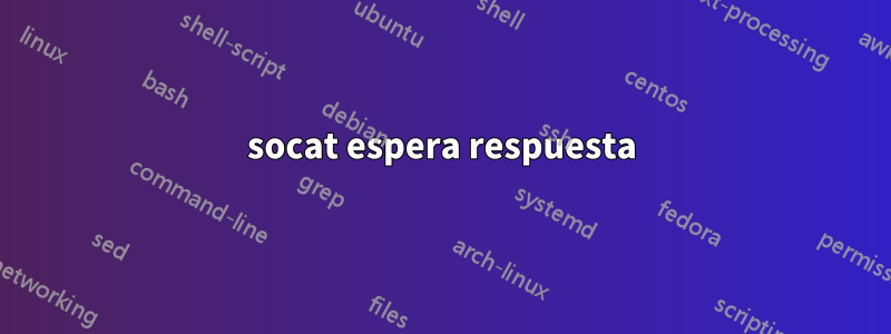 socat espera respuesta