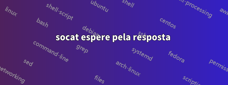 socat espere pela resposta