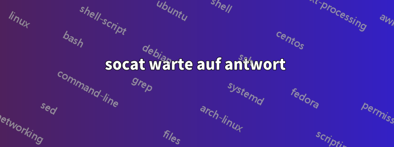 socat warte auf antwort