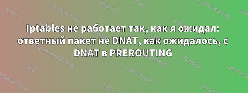 Iptables не работает так, как я ожидал: ответный пакет не DNAT, как ожидалось, с DNAT в PREROUTING