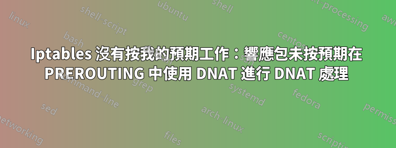 Iptables 沒有按我的預期工作：響應包未按預期在 PREROUTING 中使用 DNAT 進行 DNAT 處理