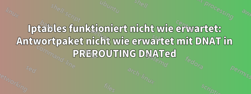 Iptables funktioniert nicht wie erwartet: Antwortpaket nicht wie erwartet mit DNAT in PREROUTING DNATed