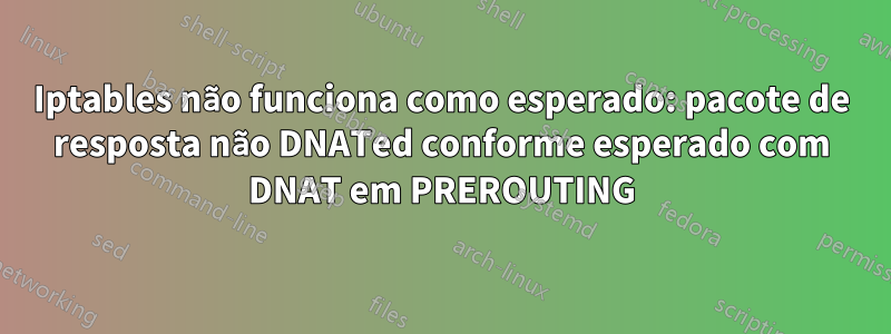 Iptables não funciona como esperado: pacote de resposta não DNATed conforme esperado com DNAT em PREROUTING