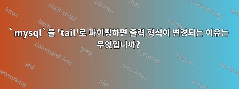 `mysql`을 'tail'로 파이핑하면 출력 형식이 변경되는 이유는 무엇입니까?