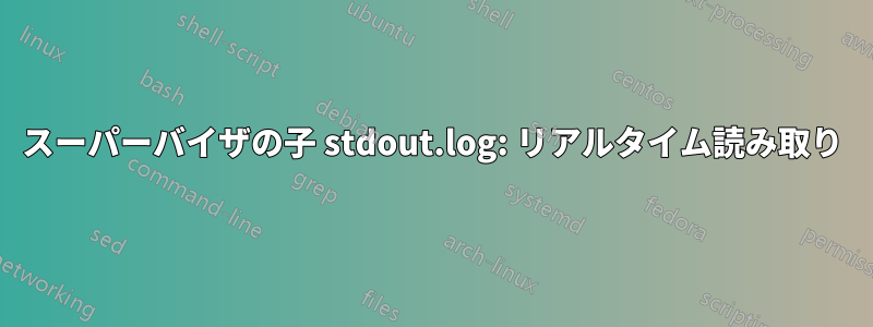 スーパーバイザの子 stdout.log: リアルタイム読み取り