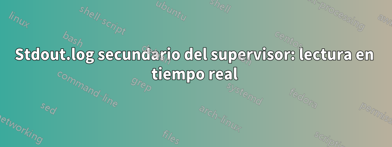 Stdout.log secundario del supervisor: lectura en tiempo real