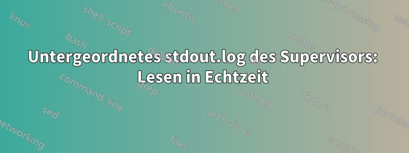 Untergeordnetes stdout.log des Supervisors: Lesen in Echtzeit