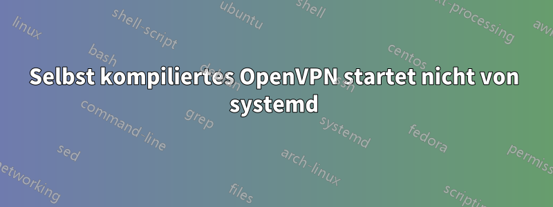 Selbst kompiliertes OpenVPN startet nicht von systemd