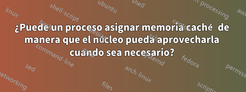 ¿Puede un proceso asignar memoria caché de manera que el núcleo pueda aprovecharla cuando sea necesario?