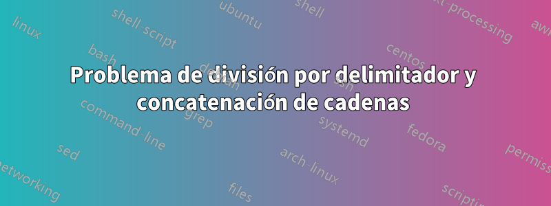 Problema de división por delimitador y concatenación de cadenas