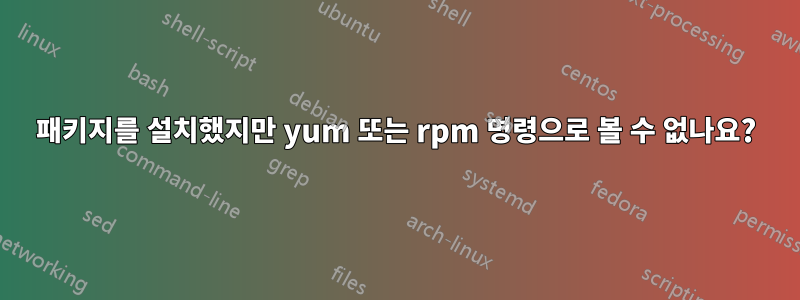 패키지를 설치했지만 yum 또는 rpm 명령으로 볼 수 없나요?