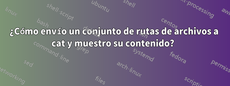 ¿Cómo envío un conjunto de rutas de archivos a cat y muestro su contenido? 