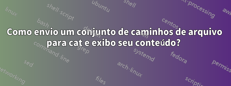 Como envio um conjunto de caminhos de arquivo para cat e exibo seu conteúdo? 