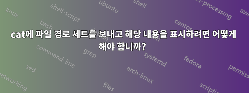 cat에 파일 경로 세트를 보내고 해당 내용을 표시하려면 어떻게 해야 합니까? 