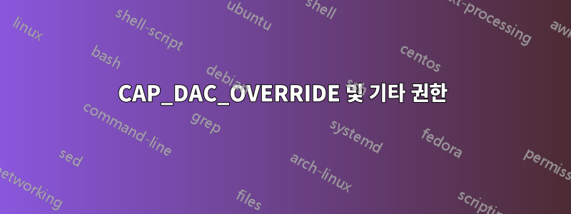 CAP_DAC_OVERRIDE 및 기타 권한