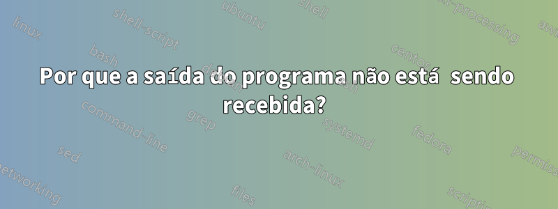 Por que a saída do programa não está sendo recebida? 