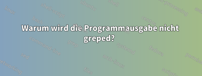 Warum wird die Programmausgabe nicht greped? 