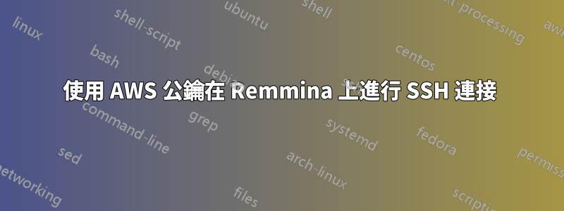 使用 AWS 公鑰在 Remmina 上進行 SSH 連接