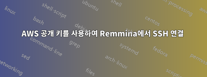 AWS 공개 키를 사용하여 Remmina에서 SSH 연결