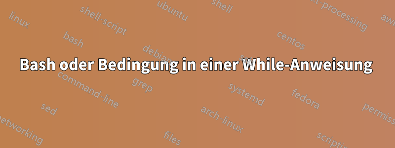 Bash oder Bedingung in einer While-Anweisung