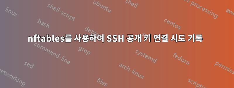 nftables를 사용하여 SSH 공개 키 연결 시도 기록 