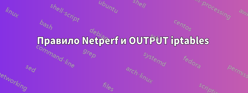 Правило Netperf и OUTPUT iptables