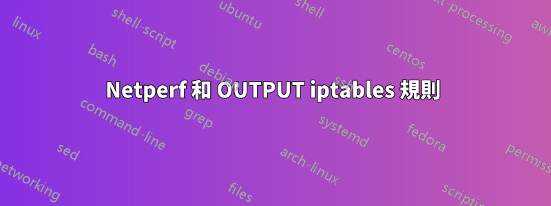 Netperf 和 OUTPUT iptables 規則