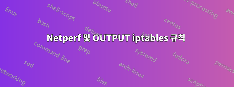 Netperf 및 OUTPUT iptables 규칙