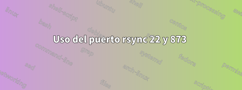 Uso del puerto rsync 22 y 873