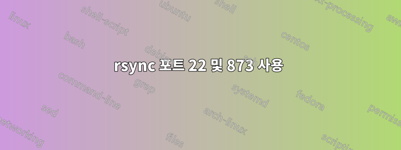 rsync 포트 22 및 873 사용