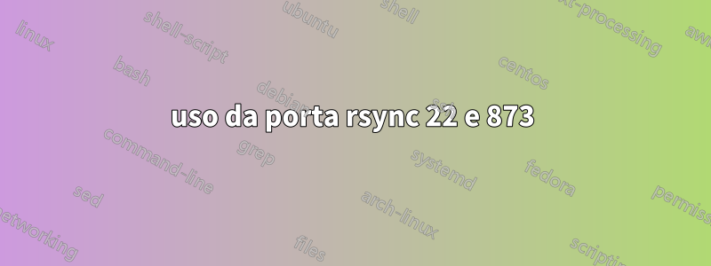 uso da porta rsync 22 e 873