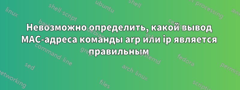 Невозможно определить, какой вывод MAC-адреса команды arp или ip является правильным