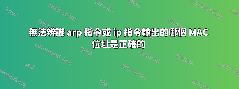 無法辨識 arp 指令或 ip 指令輸出的哪個 MAC 位址是正確的