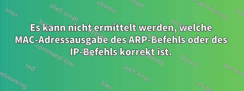 Es kann nicht ermittelt werden, welche MAC-Adressausgabe des ARP-Befehls oder des IP-Befehls korrekt ist.