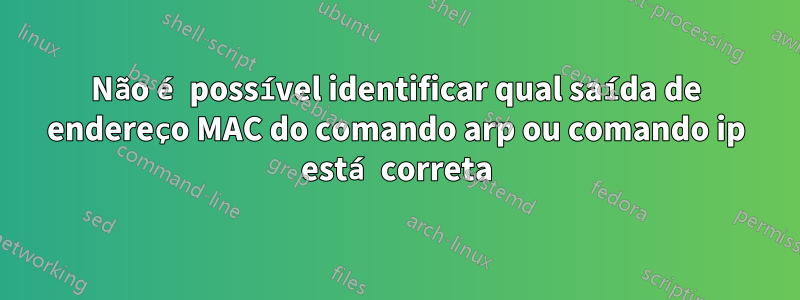 Não é possível identificar qual saída de endereço MAC do comando arp ou comando ip está correta