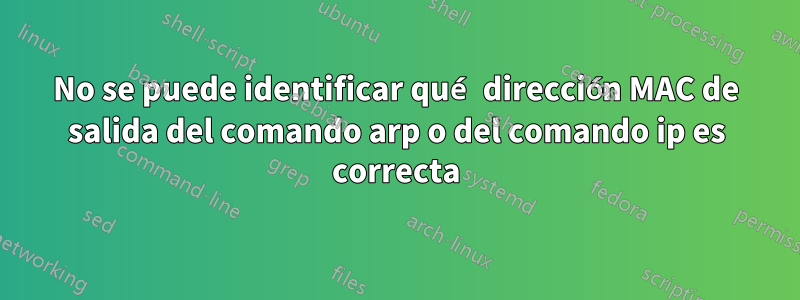 No se puede identificar qué dirección MAC de salida del comando arp o del comando ip es correcta