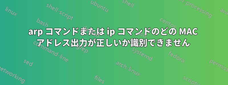 arp コマンドまたは ip コマンドのどの MAC アドレス出力が正しいか識別できません