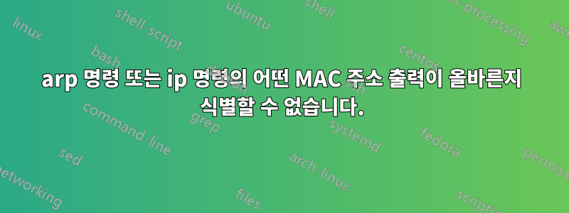 arp 명령 또는 ip 명령의 어떤 MAC 주소 출력이 올바른지 식별할 수 없습니다.