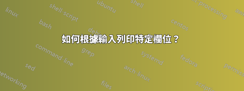 如何根據輸入列印特定欄位？