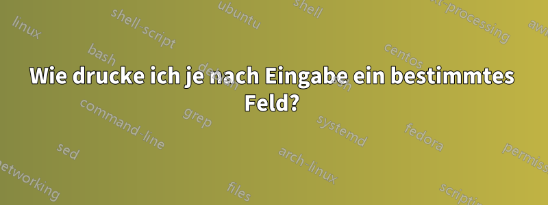 Wie drucke ich je nach Eingabe ein bestimmtes Feld?