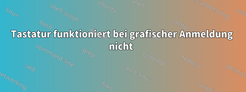 Tastatur funktioniert bei grafischer Anmeldung nicht 