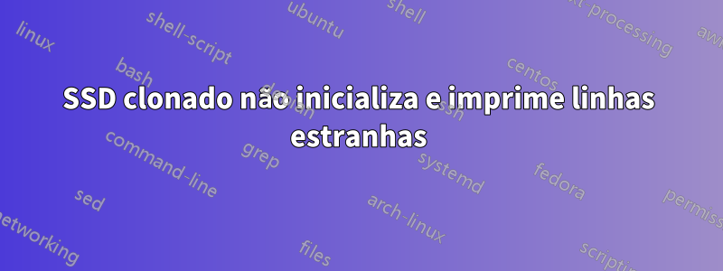 SSD clonado não inicializa e imprime linhas estranhas