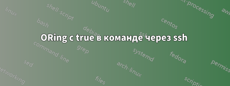 ORing с true в команде через ssh