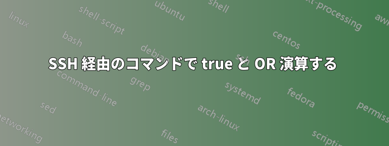 SSH 経由のコマンドで true と OR 演算する