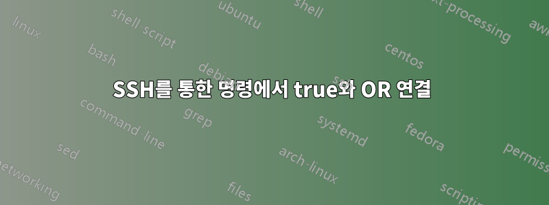 SSH를 통한 명령에서 true와 OR 연결