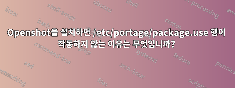 Openshot을 설치하면 /etc/portage/package.use 행이 작동하지 않는 이유는 무엇입니까?