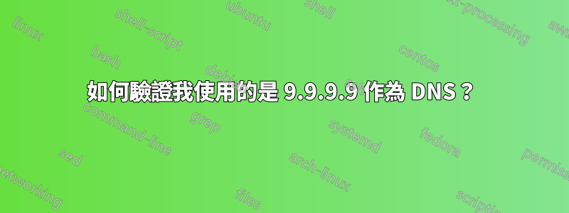 如何驗證我使用的是 9.9.9.9 作為 DNS？