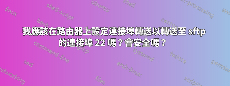 我應該在路由器上設定連接埠轉送以轉送至 sftp 的連接埠 22 嗎？會安全嗎？ 