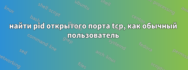 найти pid открытого порта tcp, как обычный пользователь