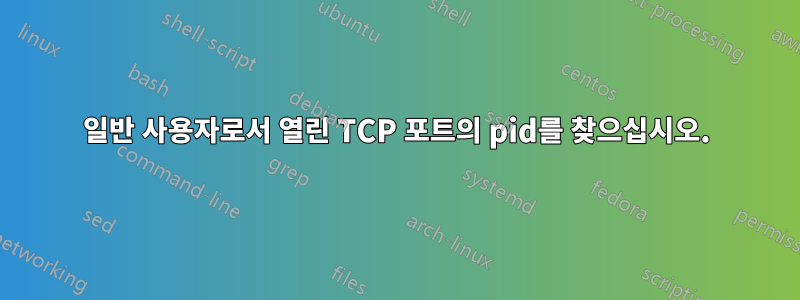 일반 사용자로서 열린 TCP 포트의 pid를 찾으십시오.